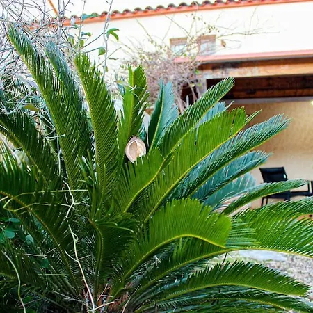 Petite Villa Avec Jacuzzi Gonflable A Torreilles Torreilles